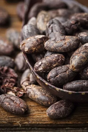 mouldy foods, mycotoxins, mould illness, CIRS