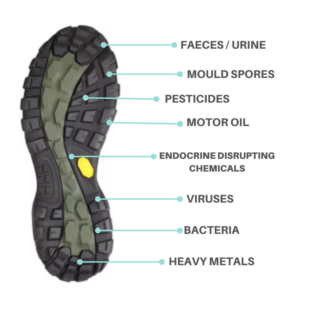 shoes off, pesticides, toxins, dust, immune system, mould 
